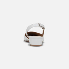 Banks Pointed Toe Flat
