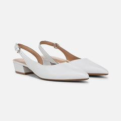 Banks Pointed Toe Flat