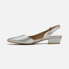 Banks Pointed Toe Flat